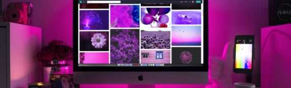 Driva en webbplats med WordPress